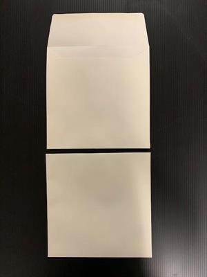 BUSTE AVO.RIG.     MS063 17X17   GR.120 SC 250 BS