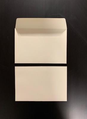 BUSTE AVO.LIS.     VS102 12X18   GR.120 SC 250 BS