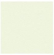 PRISMA AVORIO            072X102 GR.250 PK 100 FG