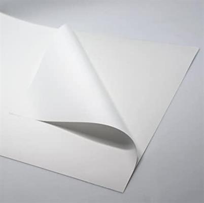 ADESIVA S/T LASER   GLOS.33X488         PK 200 FG