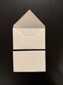 BUSTA AVO.MART.    PN149 009X014 GR. 95 SC 500 BS