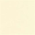 ARENA IVORY SMOOTH 20030 072X102 GR.200 PK 125 FG