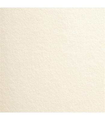 ARENA IVORY ROUGH  30030 072X102 GR.300 PK 100 FG
