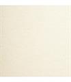 ARENA IVORY ROUGH  30030 072X102 GR.300 PK 100 FG