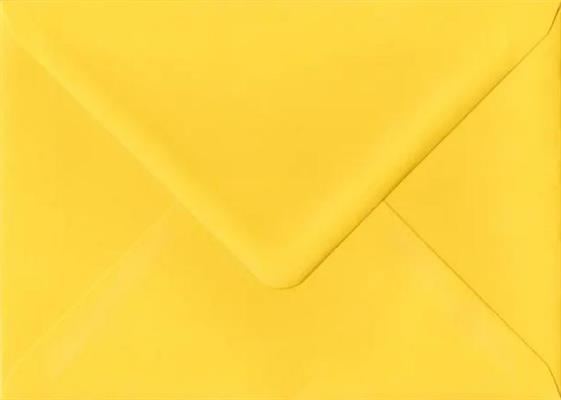 BUSTE GIALLO     BS00032 12X17,5 GR.80  SC 100 BS