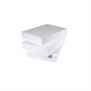CARTA BIANCA             A5      GR. 80 RS 500 FG