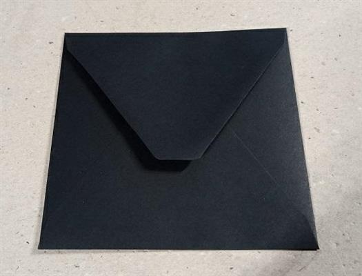 BUSTE NERE    BS40095F15 15X15   GR.120 SC 100 BS
