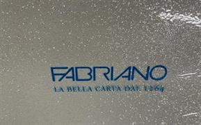CARTONCINO GLITTER BIANC.50X65   GR.330 BL  5 FG