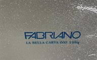 CARTONCINO GLITTER BIANC.50X65   GR.330 BL  5 FG