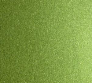 CARTONCINO PERLATO VERDE 50X70   GR.290 BL 10 FG