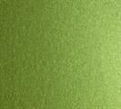 CARTONCINO PERLATO VERDE 50X70   GR.290 BL 10 FG