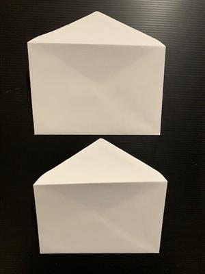 BUSTE ACQUE.BIANC. 10317 12X18   GR.120 SC 500 BS