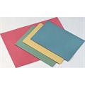 CARTELLA S/L PANNOSA COL.C/STAMP.BLASET.BL 100 PZ