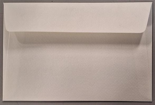 BUSTE NEVE MARCA.    234 12X18   GR.120 SC 250 BS