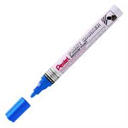 MARKER PENTEL MMP10 PAINT P/MEDIA       SC 12 PZ