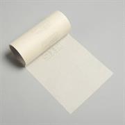APPLICATION TAPE CARTA   061X100        RT