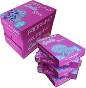 CARTA X FOTORIPRODUTTORE A4 GENTILE     RS 500 FG