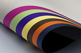 BRISTOL COL.TO MONO.FAVI.70X100  GR.220 BL 10 FG