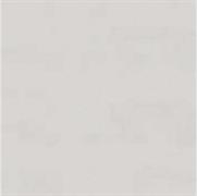 CARTA COLORATA GRIGIO    210X297 GR.90  PK 250 FG
