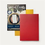 CARTA METALLIZZATA C/VAR.A4      GR.250 BL  10 FG