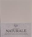CARTONCINO MAIS          A3      GR.250 BL  50 FG