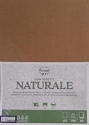 CARTONCINO KRAFT AVANA   A3      GR.200 PK  50 FG