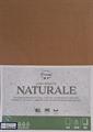 CARTONCINO KRAFT AVANA   A3      GR.200 PK  50 FG