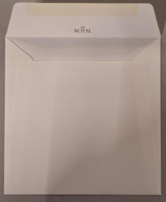 BUSTE NEVE MARCA.    244 17X17   GR.120 SC 250 BS