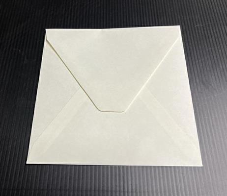 BUSTE AVORIO LISCIA T.P. 15X15   GR.120 SC 250 BS