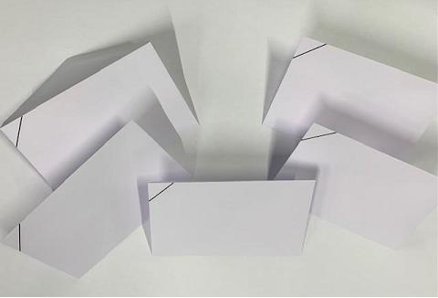 BUSTE LISTATE LUTTO T.P. 09X14   GR.80  SC 500 BS