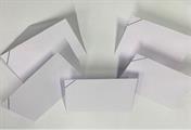 BUSTE LISTATE LUTTO T.P. 09X14   GR.80  SC 500 BS