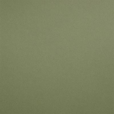 CARTONCINO VERDE NATURA  33X48,3 GR.250 BL  50 FG