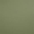 CARTONCINO VERDE NATURA  33X48,3 GR.250 BL  50 FG