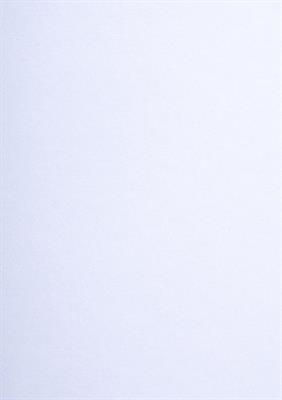 ARENA SMOOTH E.W.  25030 072X102 GR.250 PK 125 FG