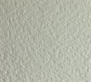 TINTORETTO NEVE     2323 072X101 GR.300 PK 100 FG