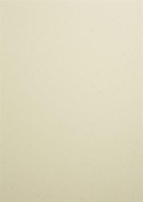 WOODSTOCK BETULLA  27790 070X100 GR.285 CAD