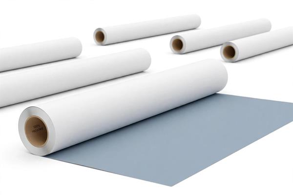 CARTA X PLOTTER BLUEBACK  100X80 GR.115 RT