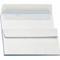 BUSTE CAMPIDOGLIO T.Q.79 12X18   GR.100 SC 500 BS