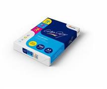COLOR COPY               A3      GR.100 PK 500 FG