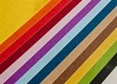 BRISTOL COL.TO LISC.FAVI.70X100  GR.200 BL 10 FG