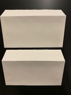 BUSTE ACQUE.BIANC. 10305 11X22   GR.120 SC 250 BS