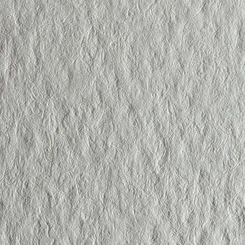 TINTORETTO NEVE  2320    072x101 GR.250 CAD