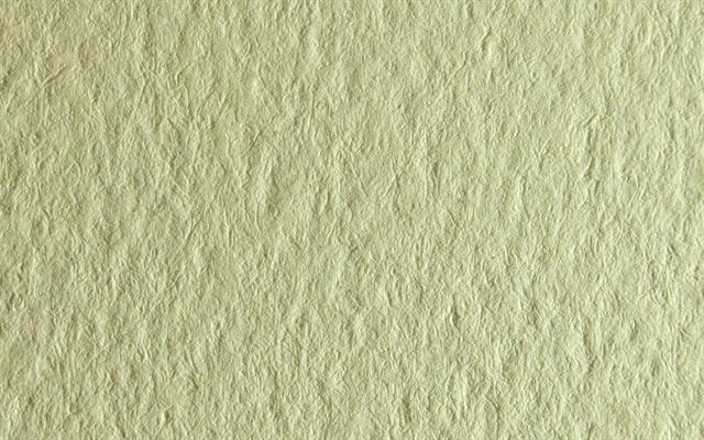 TINTORETTO CAMOSCIO 2360 072X101 GR.250 CAD