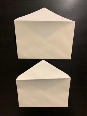 BUSTE SPLEND.AVORIO  949 12X18   GR.100 SC 500 BS