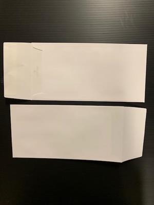 BUSTE SPLEND.BIANC.  963 22X11   GR.115 SC 500 BS